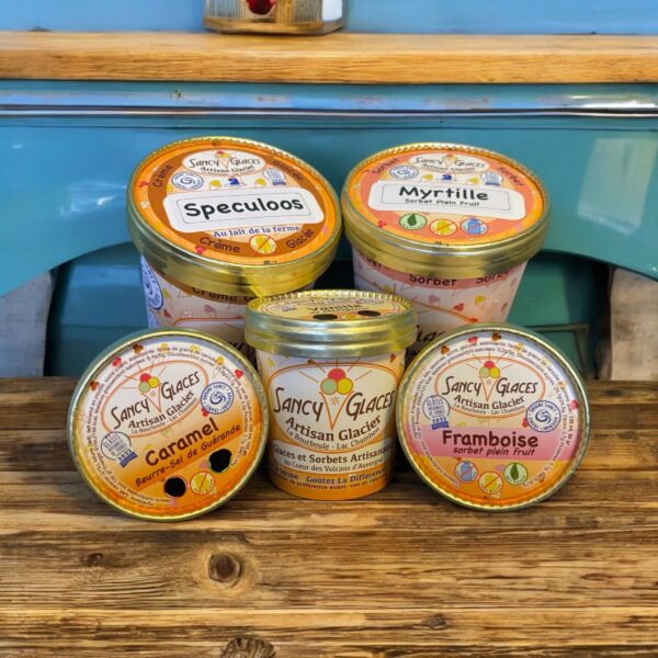 Glace  et Sorbet Pot 450g